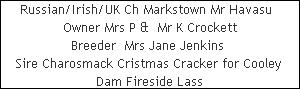Russian/Irish/UK Ch Markstown Mr Havasu  















Owner Mrs P &  Mr K Crockett















Breeder  Mrs Jane Jenkins 















Sire Charosmack Cristmas Cracker for Cooley 















Dam Fireside Lass