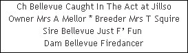 Ch Bellevue Caught In The Act at Jillso


















Owner Mrs A Mellor * Breeder Mrs T Squire


















Sire Bellevue Just F’ Fun 














Dam Bellevue Firedancer
