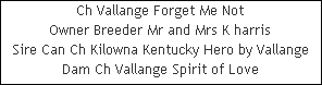 Ch Vallange Forget Me Not











Owner Breeder Mr and Mrs K harris











Sire Can Ch Kilowna Kentucky Hero by Vallange











Dam Ch Vallange Spirit of Love