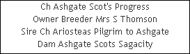 Ch Ashgate Scot's Progress











Owner Breeder Mrs S Thomson











Sire Ch Ariosteas Pilgrim to Ashgate











Dam Ashgate Scots Sagacity