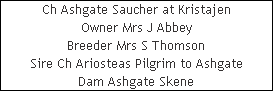 Ch Ashgate Saucher at Kristajen











Owner Mrs J Abbey











Breeder Mrs S Thomson











Sire Ch Ariosteas Pilgrim to Ashgate











Dam Ashgate Skene